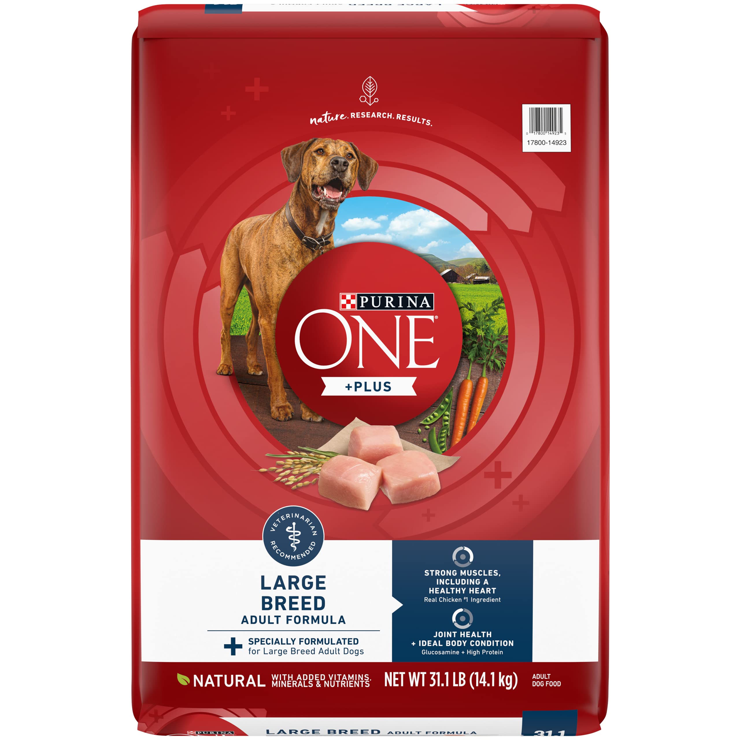 Purina ONE Plus Large Breed Adult Dog Food