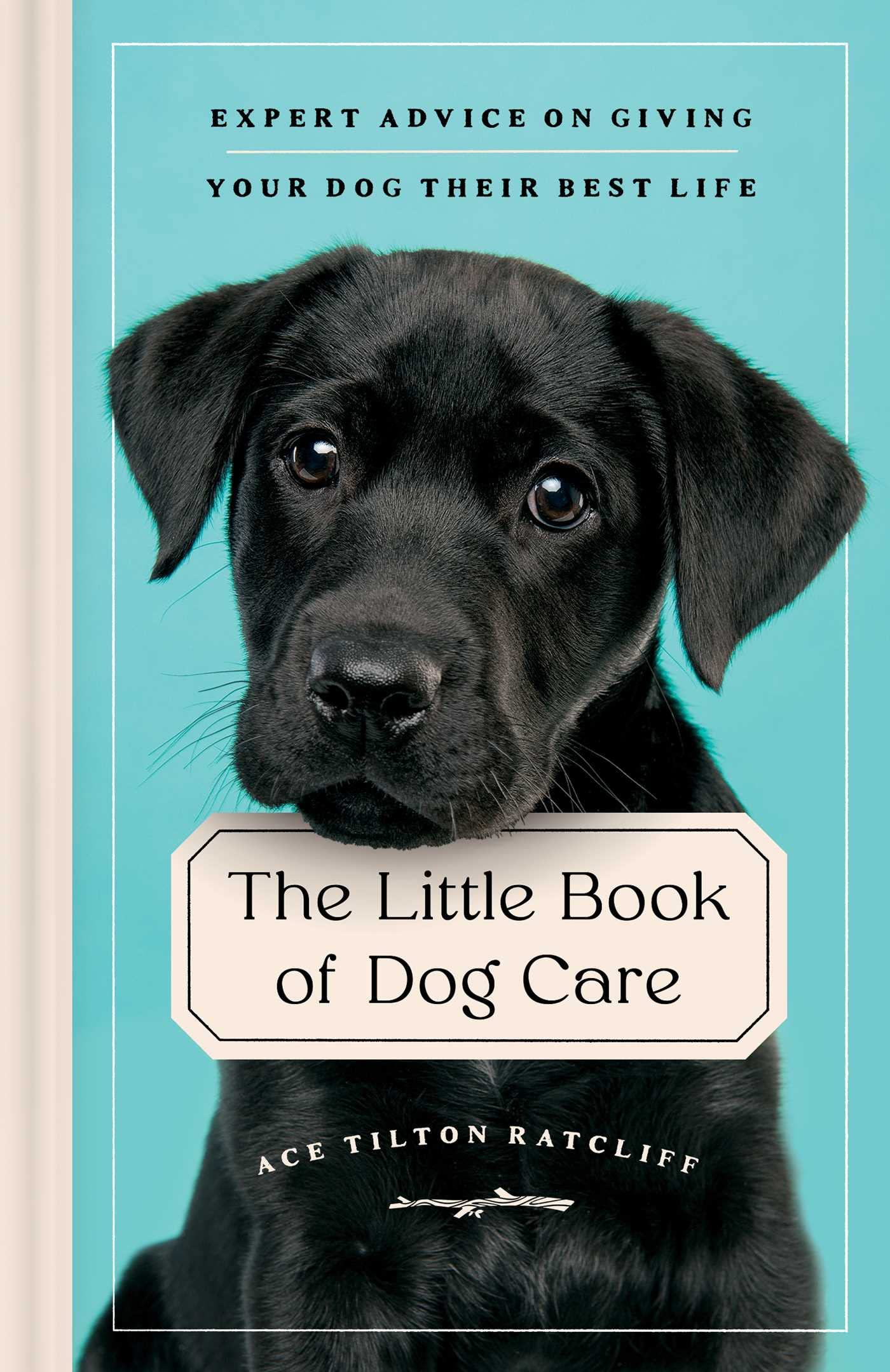 The Little Book of Dog Care: Expert Advice on Giving Your Dog Their Best Life