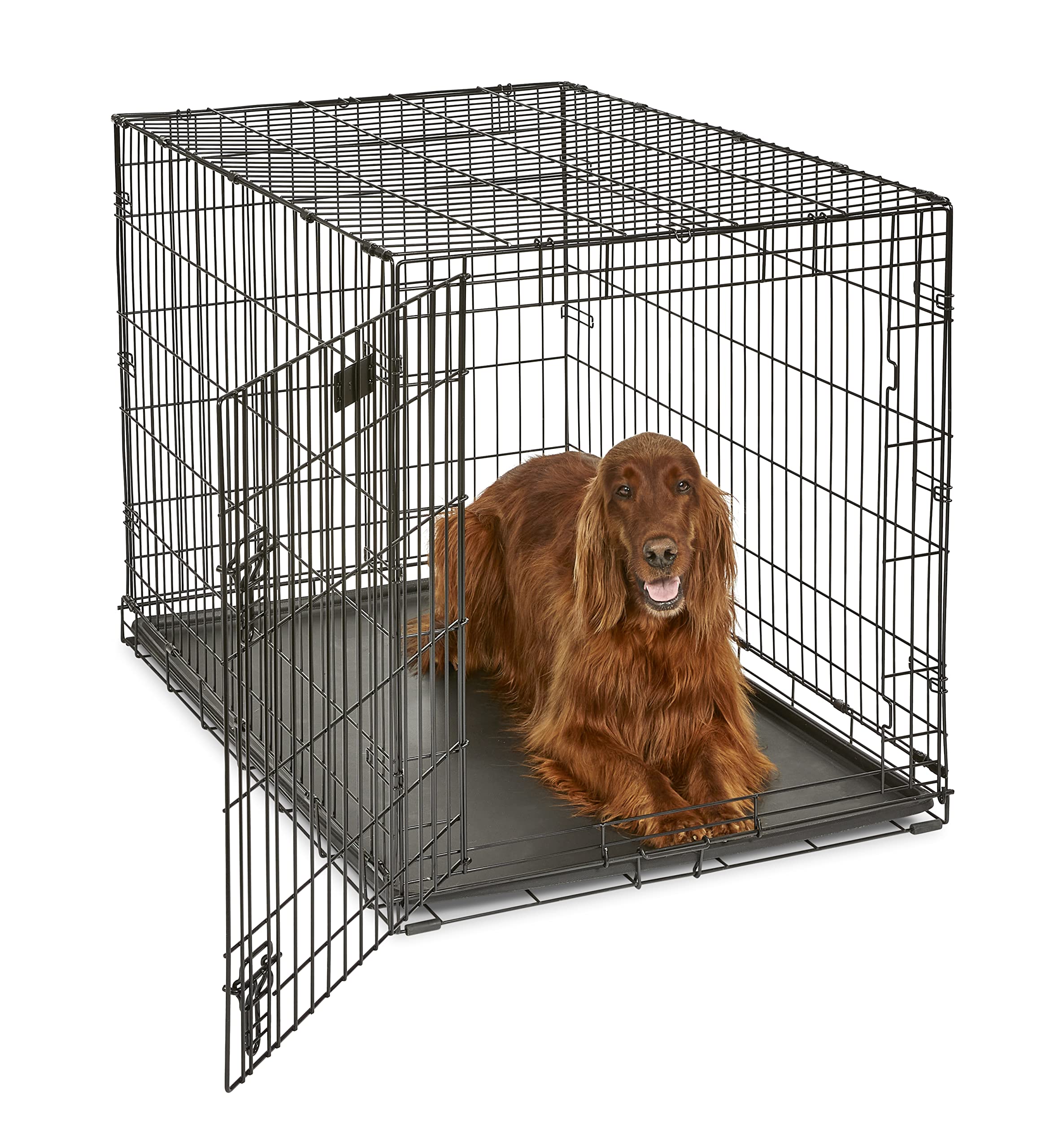 Best Dog Crates 2024 - Forbes Vetted