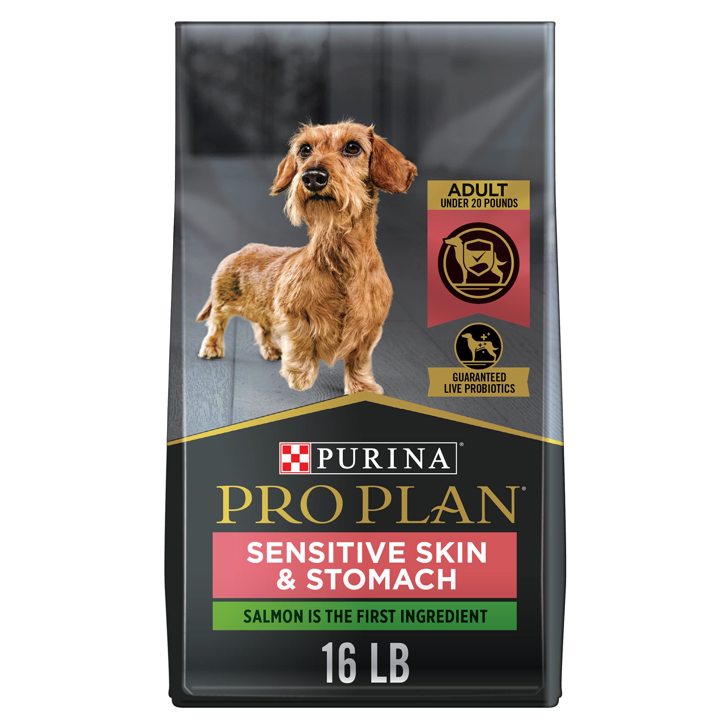 Best food for sensitive dogs sale