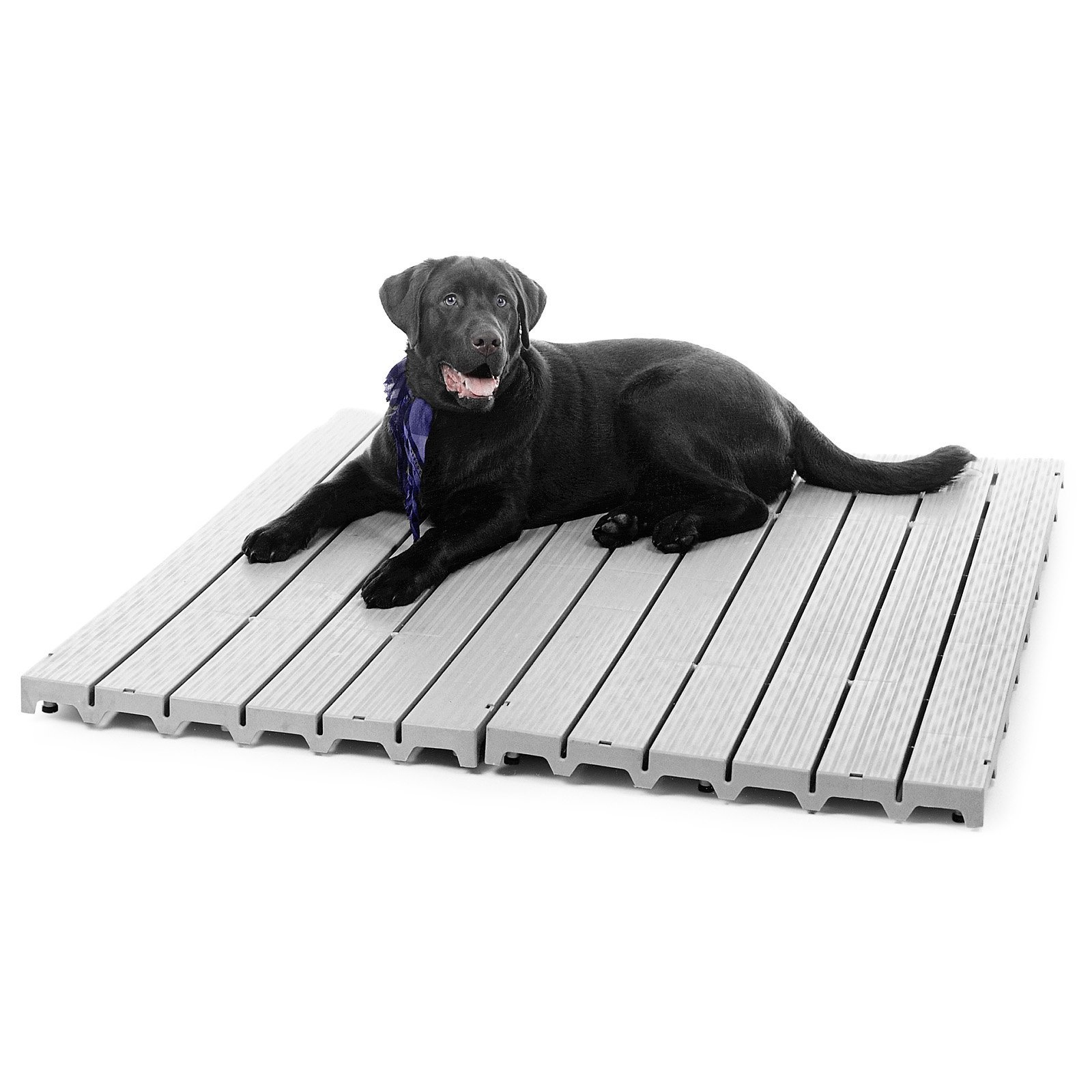 Kennel Deck Battleship Gray