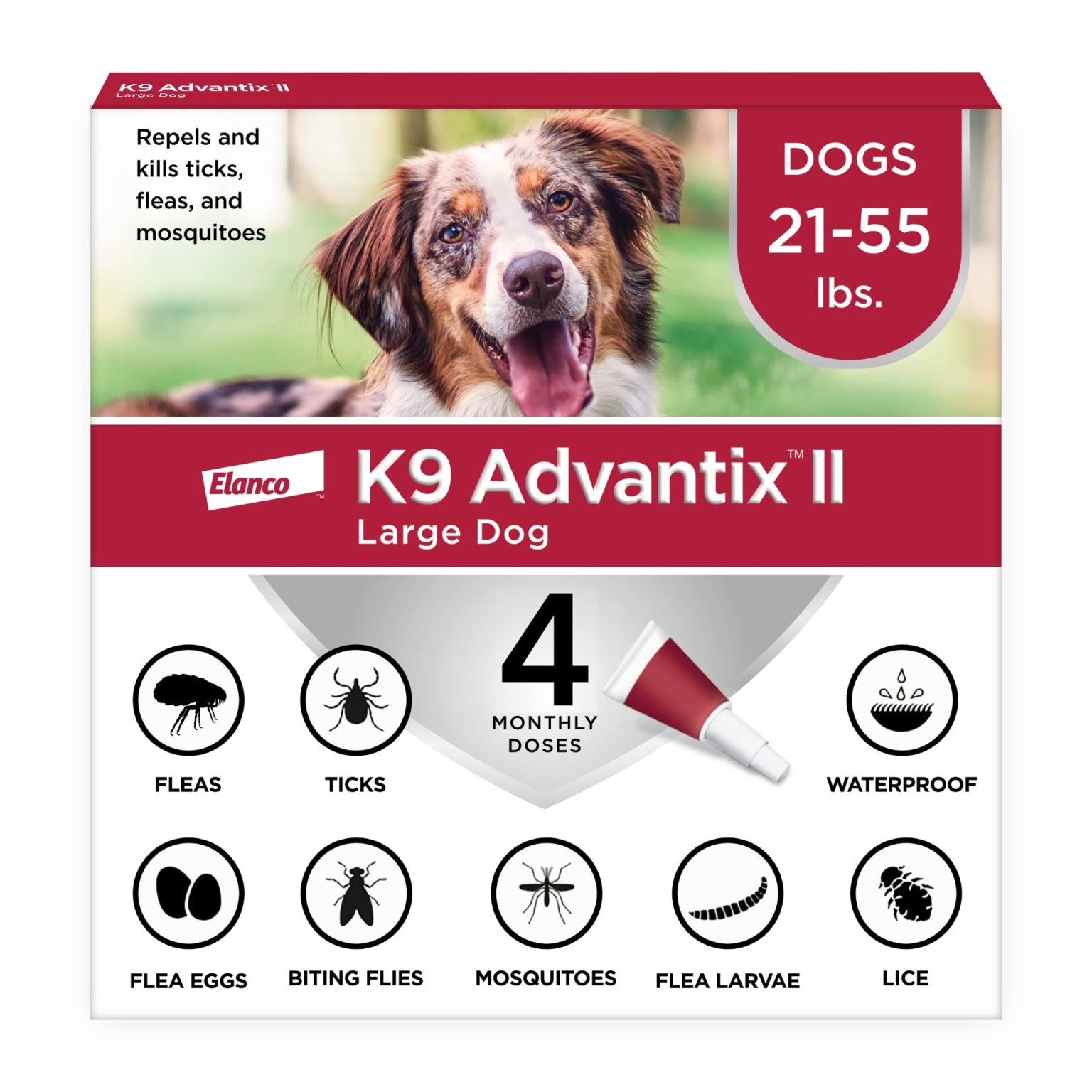 Top 7 Best Flea, Tick, and Heartworm Prevention for Dogs in 2023