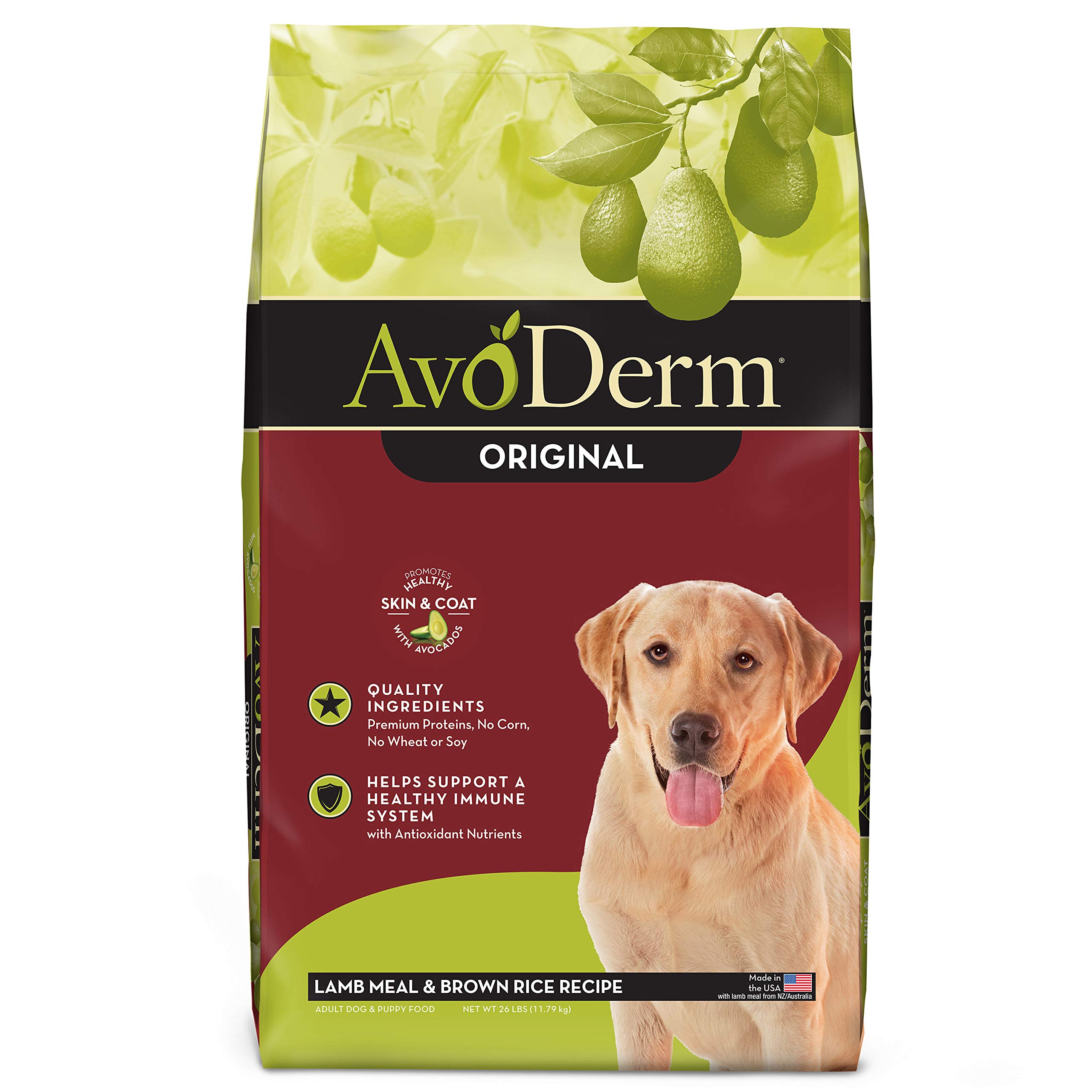 AvoDerm Natural Lamb Meal & Brown Rice Recipe Dry Dog Food