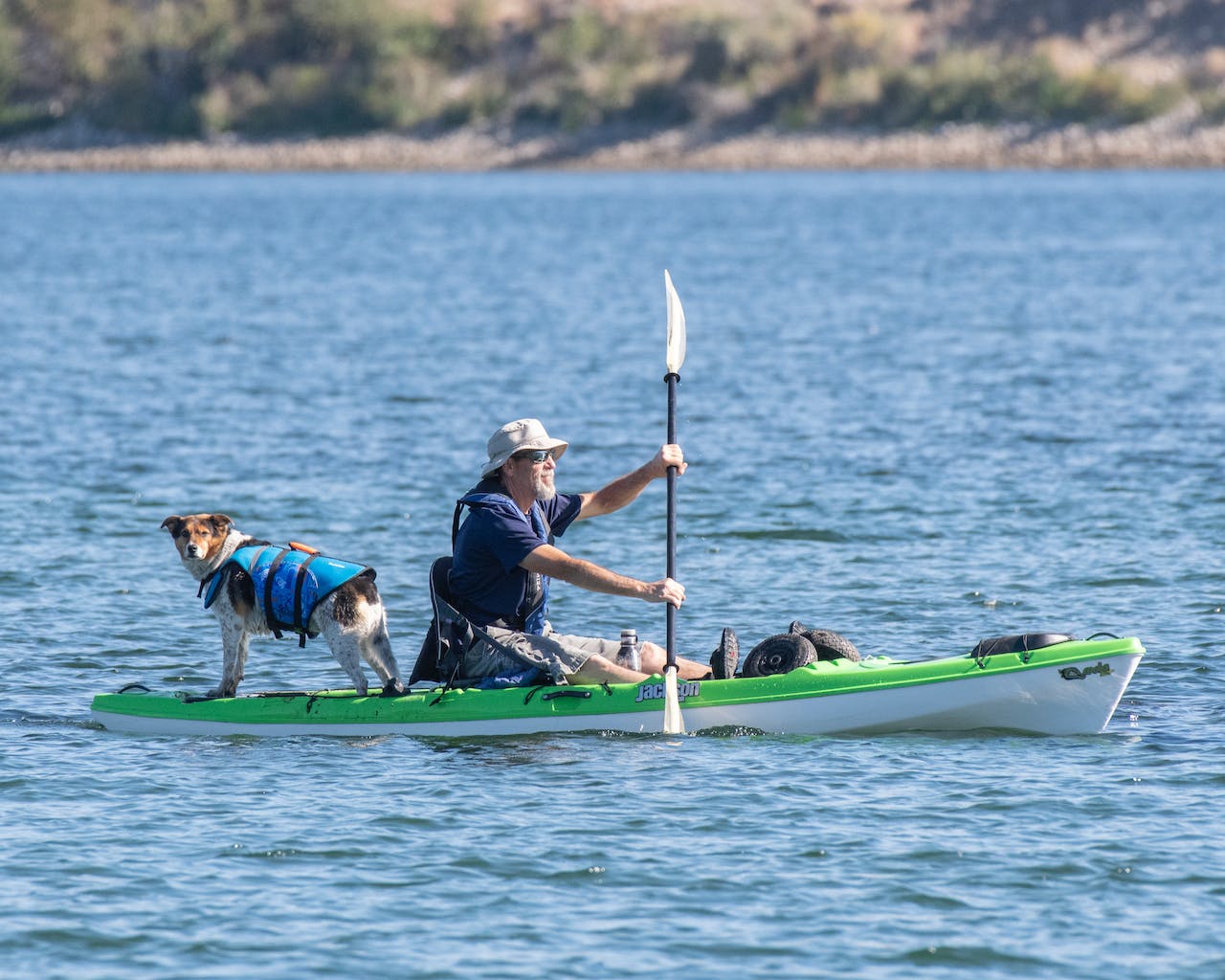 Best Kayak for Dogs