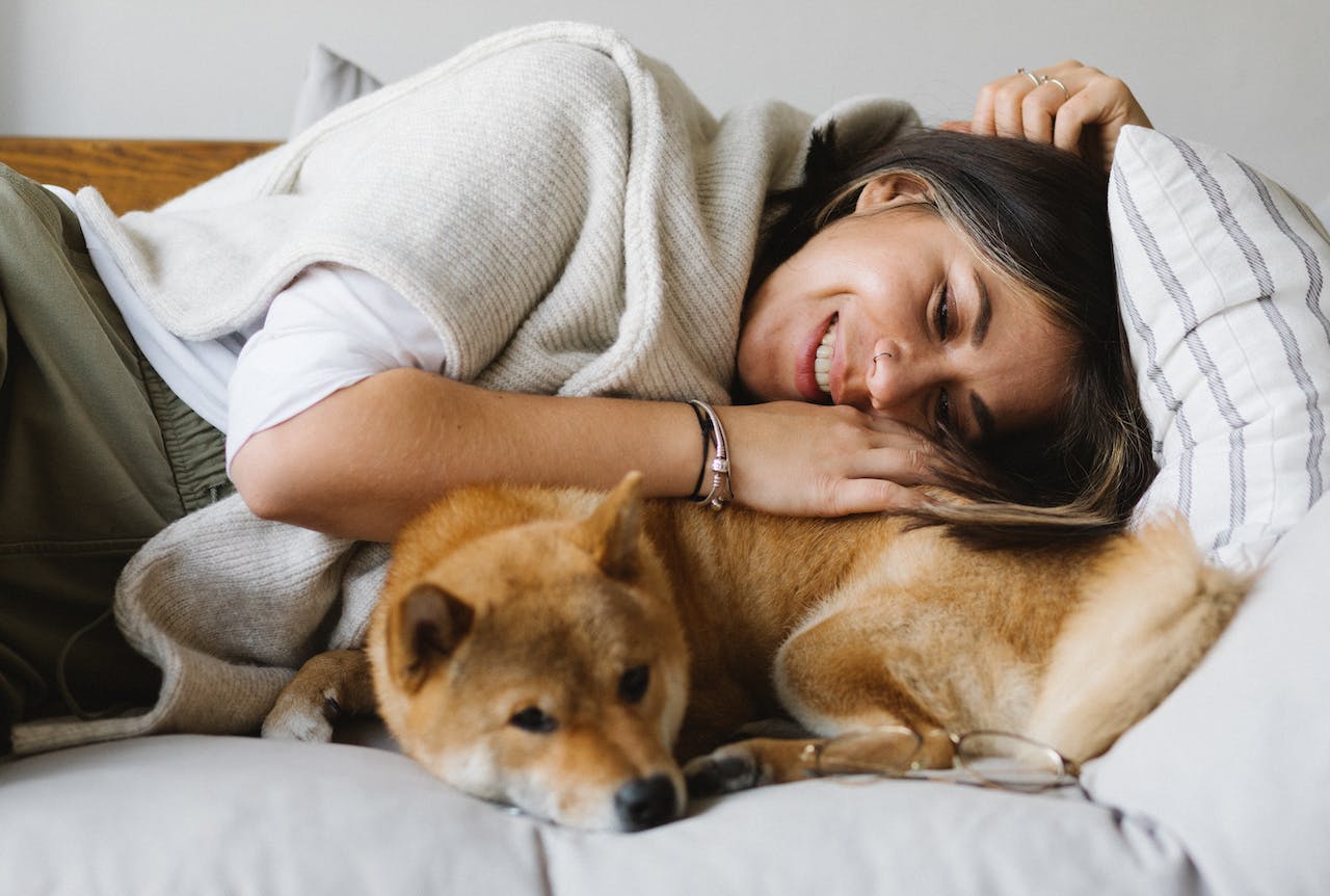 best-couch-material-for-dogs