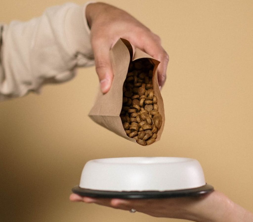 Top 5 Best Kibble For French Bulldogs in 2024 Guides by Bone Voyage