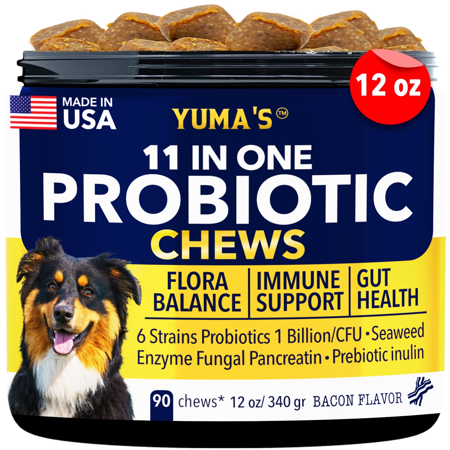 Dog food on sale for yeast allergies