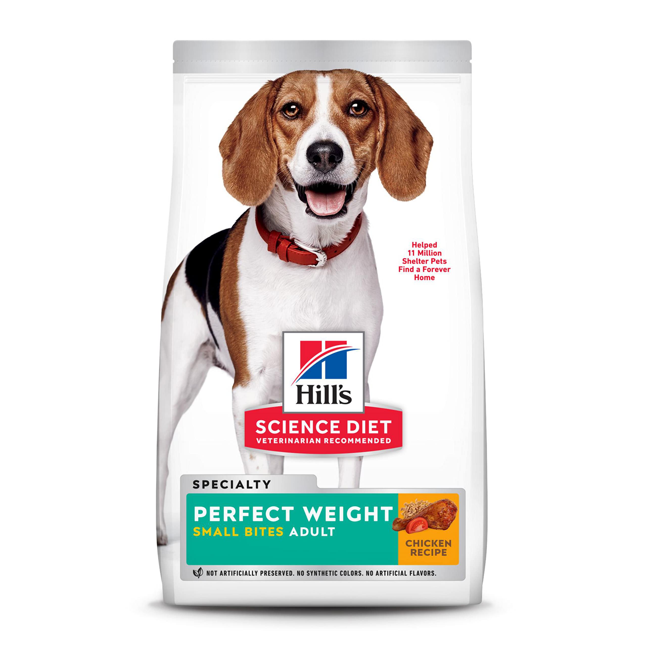 Best dog food 2025 for senior beagles