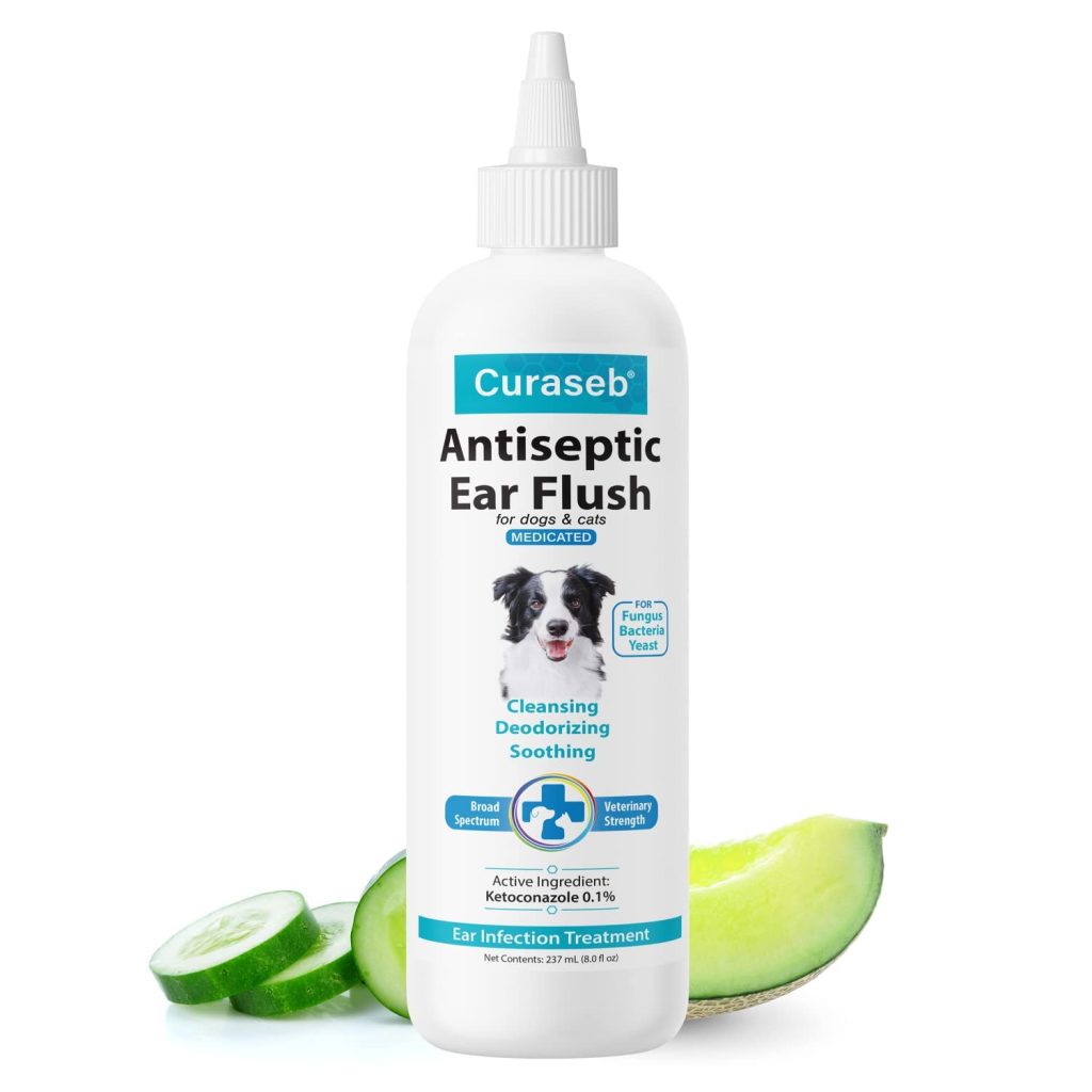 Top 6 Best Antibiotic for Dog Ear Infection in 2024 Guides by Bone