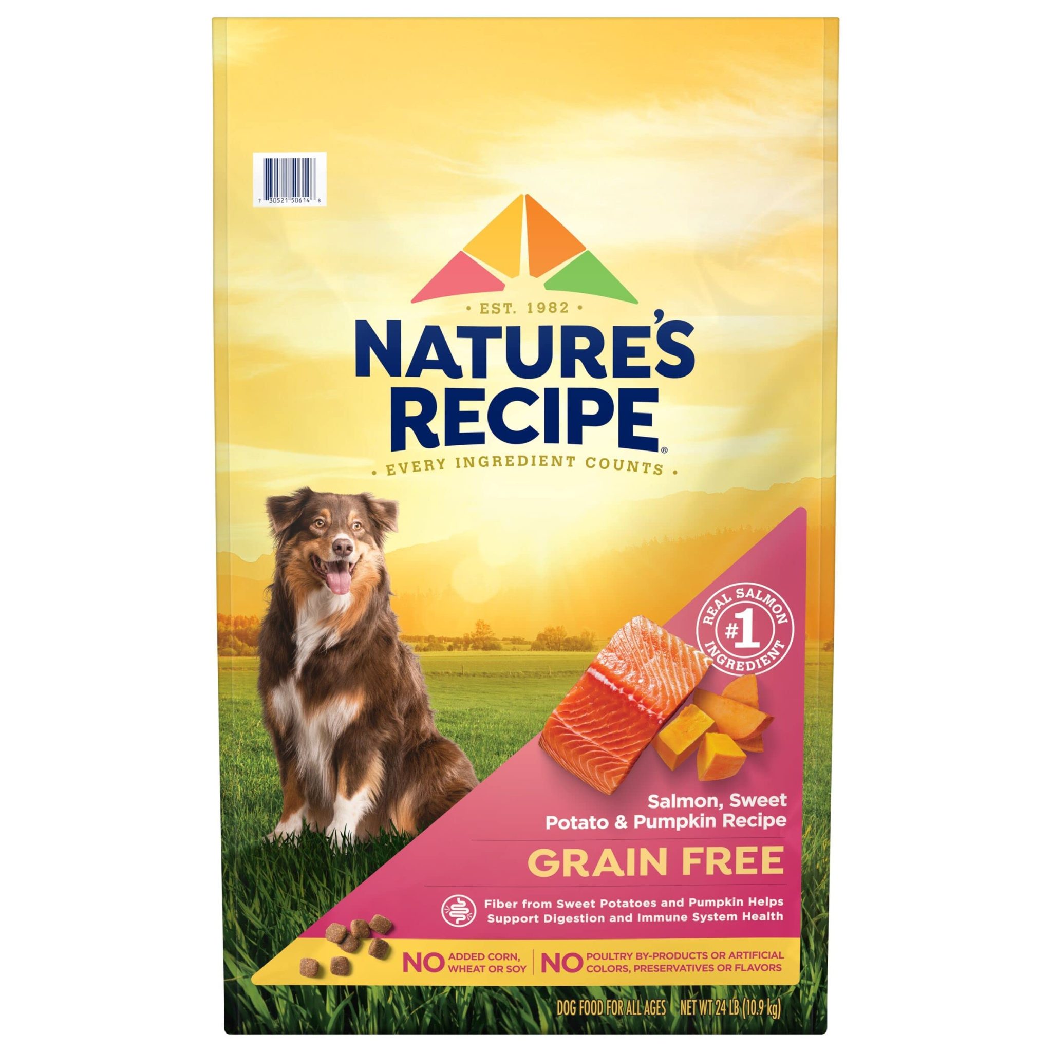 Top 6 Best Grain Free Dog Food in 2024 Guides by Bone Voyage Dog Rescue