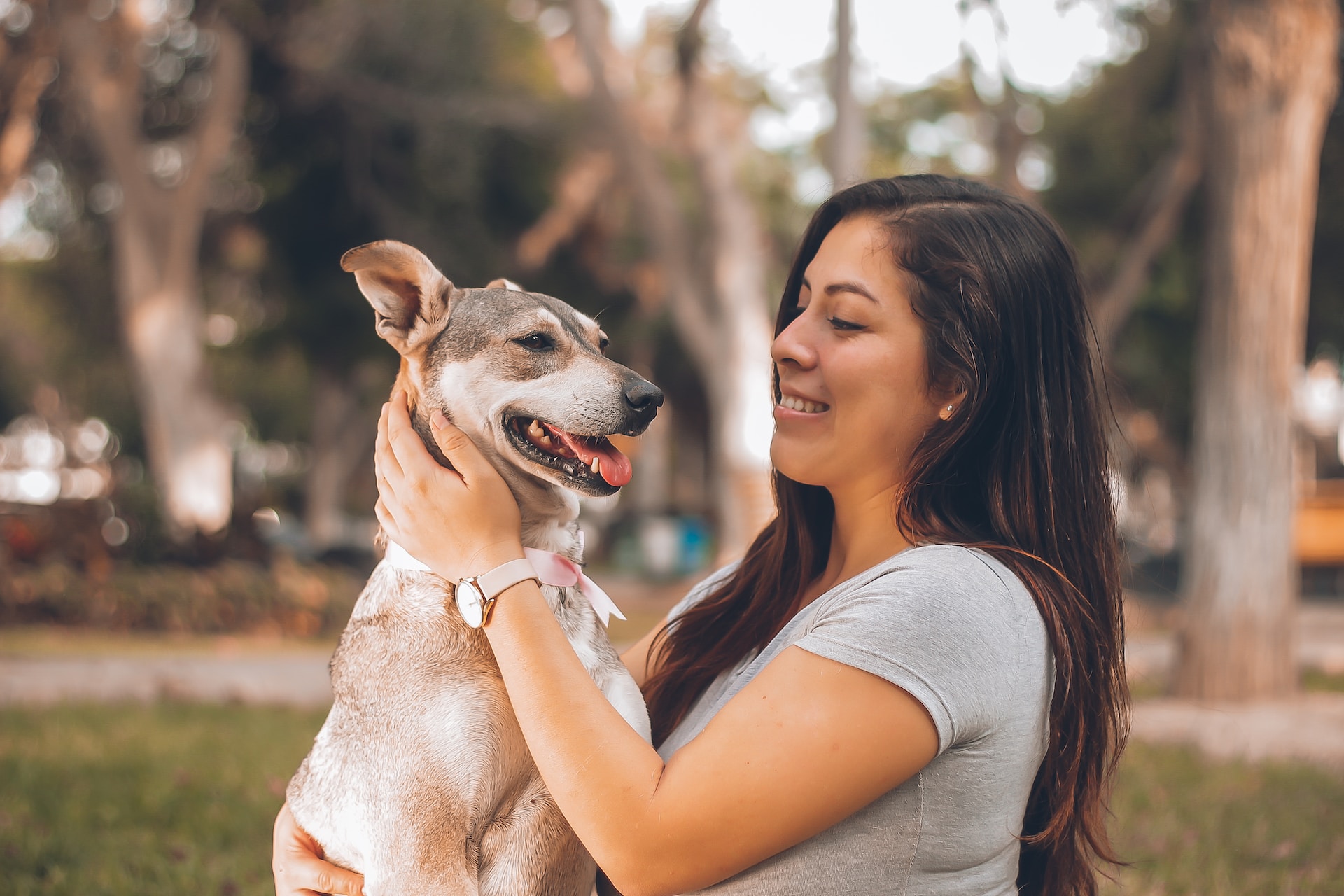 best limited ingredient dog food