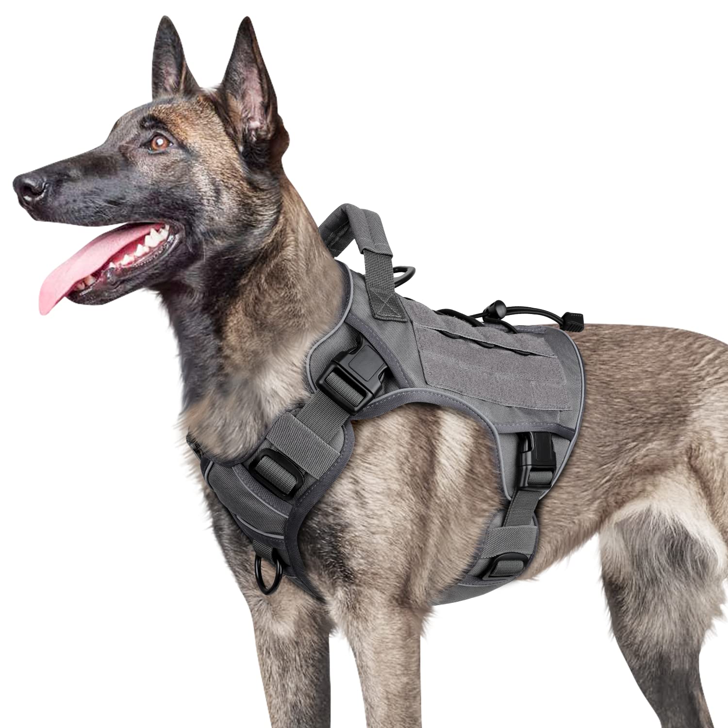 Best harnesses 2025 for german shepherds