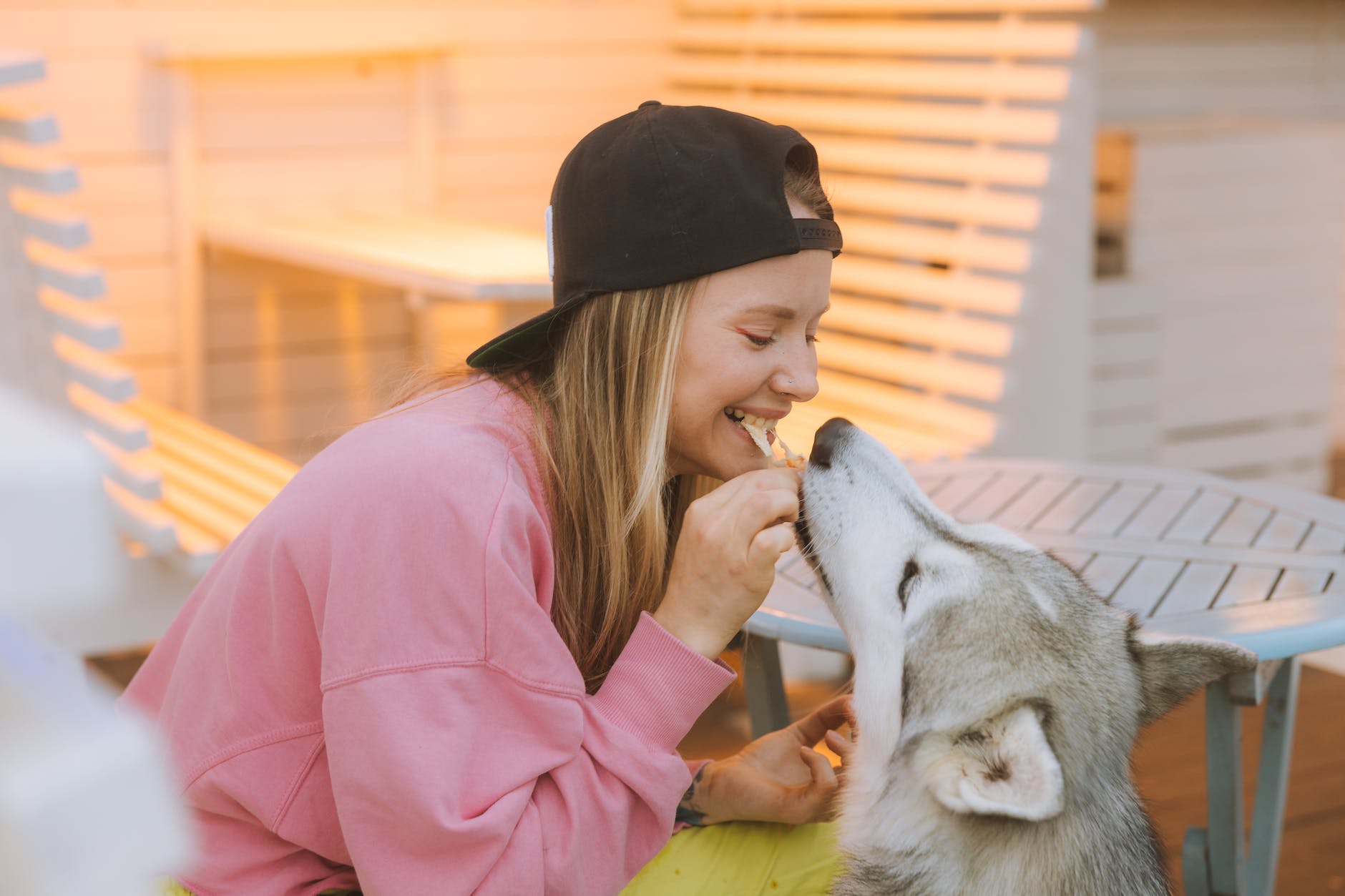 Best Food For Husky Puppy