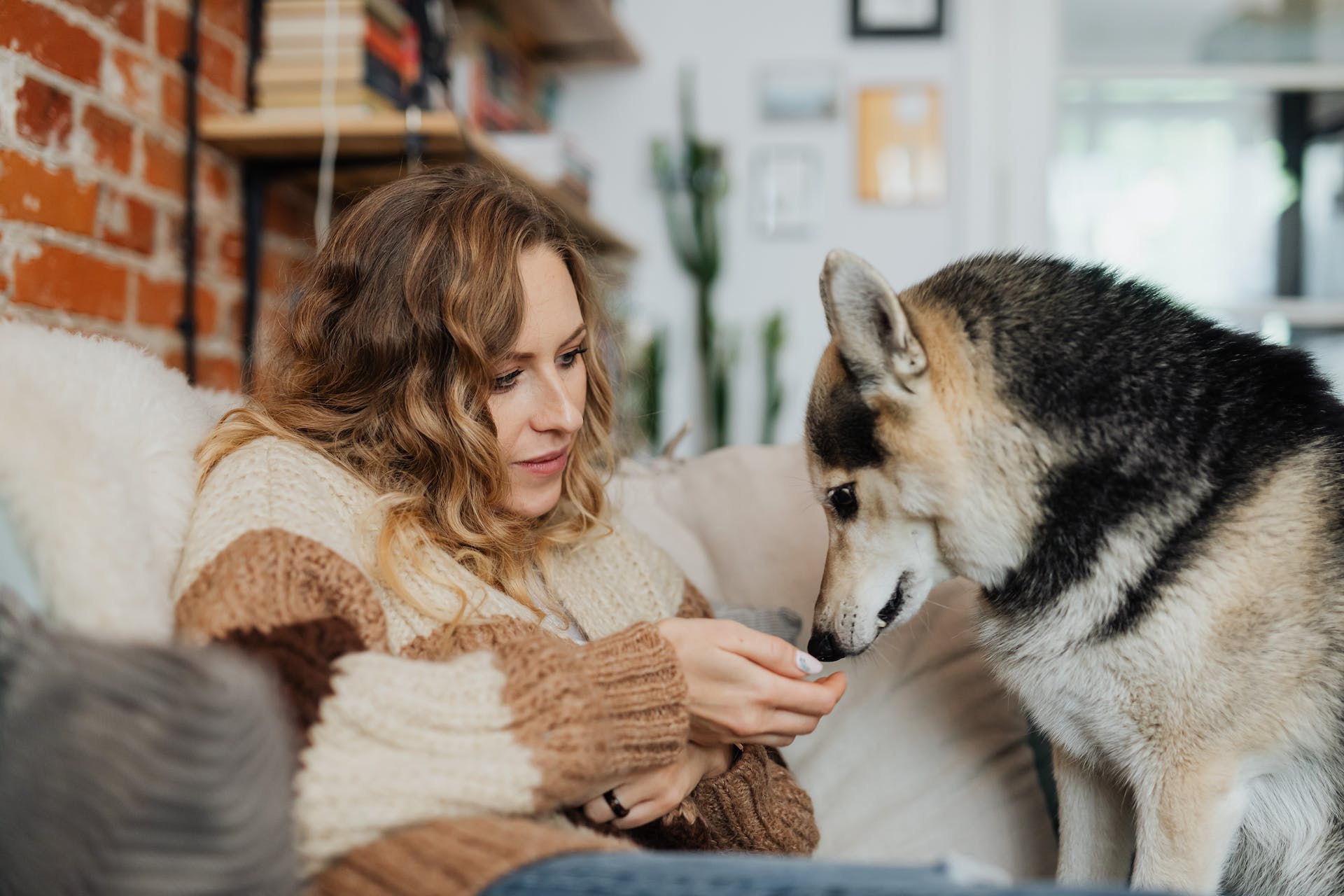 best himalayan dog chews