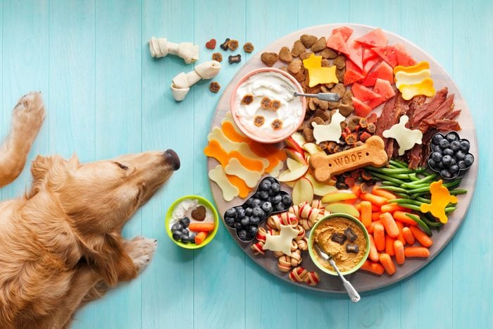 Effective Calming Treats for Dogs