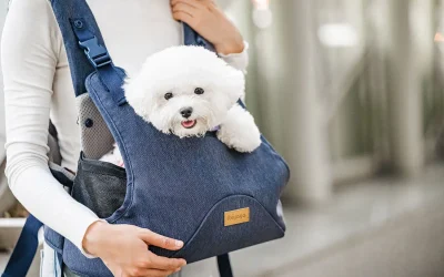 Dog Sling: A Convenient and Comfortable Way to Carry Your Pet