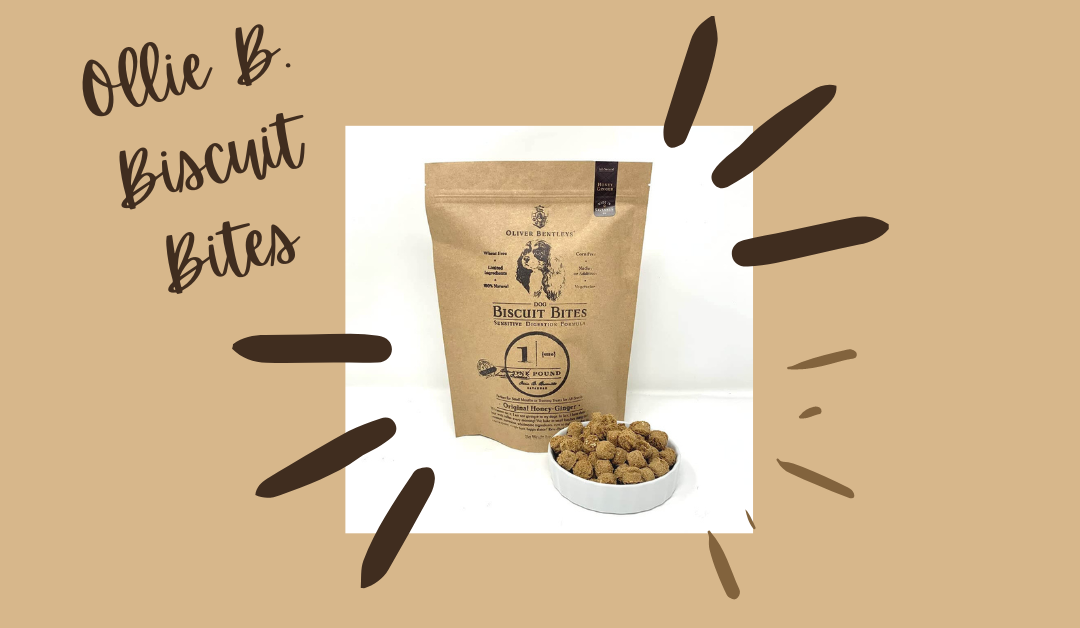 Ollie B. Biscuit Bites: Sensitive Digestion Formula Dog Treats Food Review [2023]