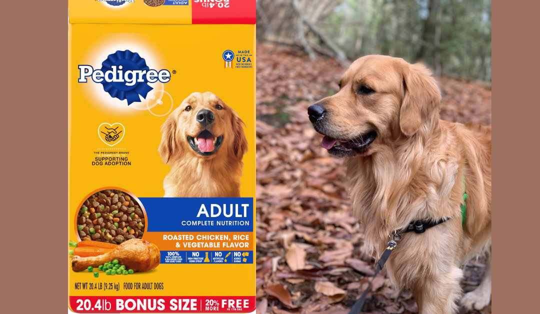 PEDIGREE Complete Nutrition Adult Dry Dog Food Roasted Chicken, Rice & Vegetable Flavor Food Review [2023]
