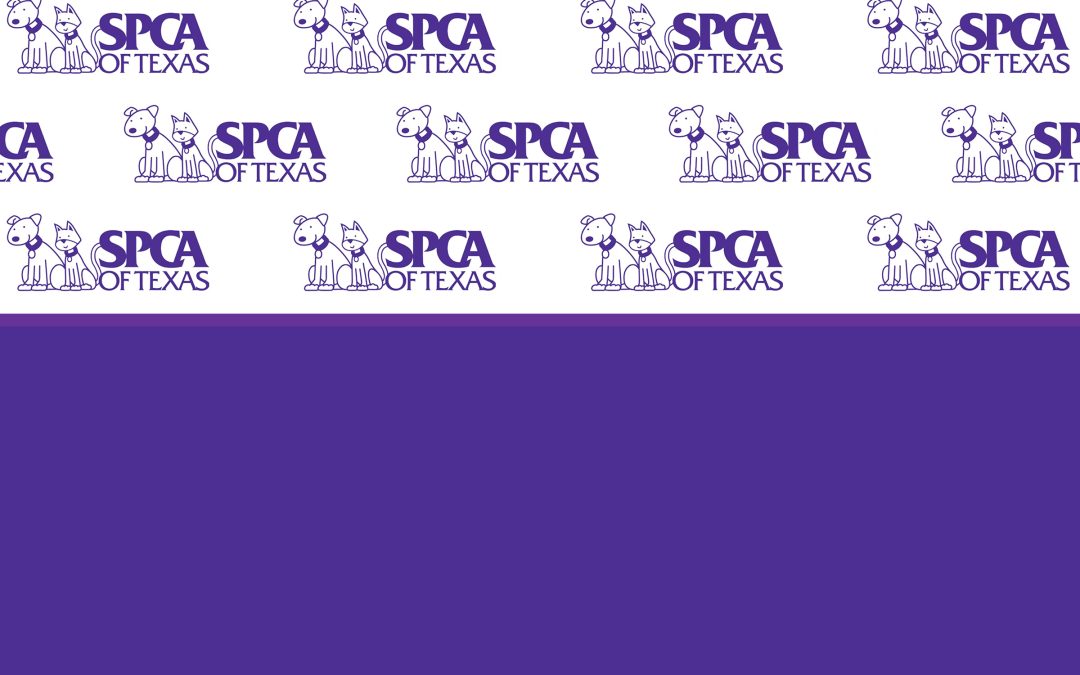 Jan Rees Jones Animal Care Center: A Place of Hope for Animals
