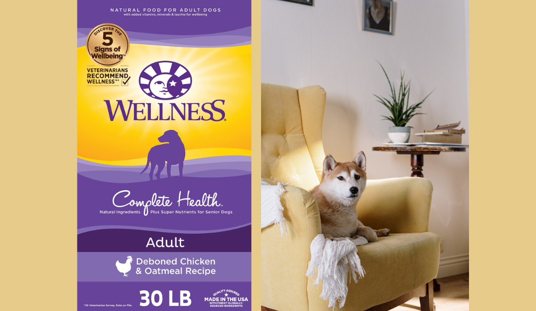 Wellness Complete Health Dry Dog Food with Grains Food Review [2023]