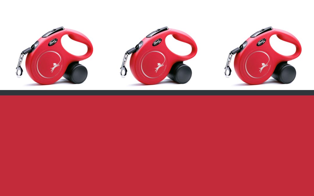 Flexi Leash