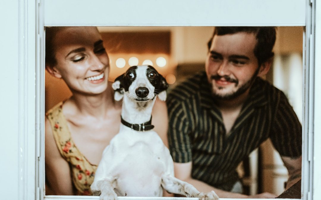 How Dogs Make Our Lives Complete