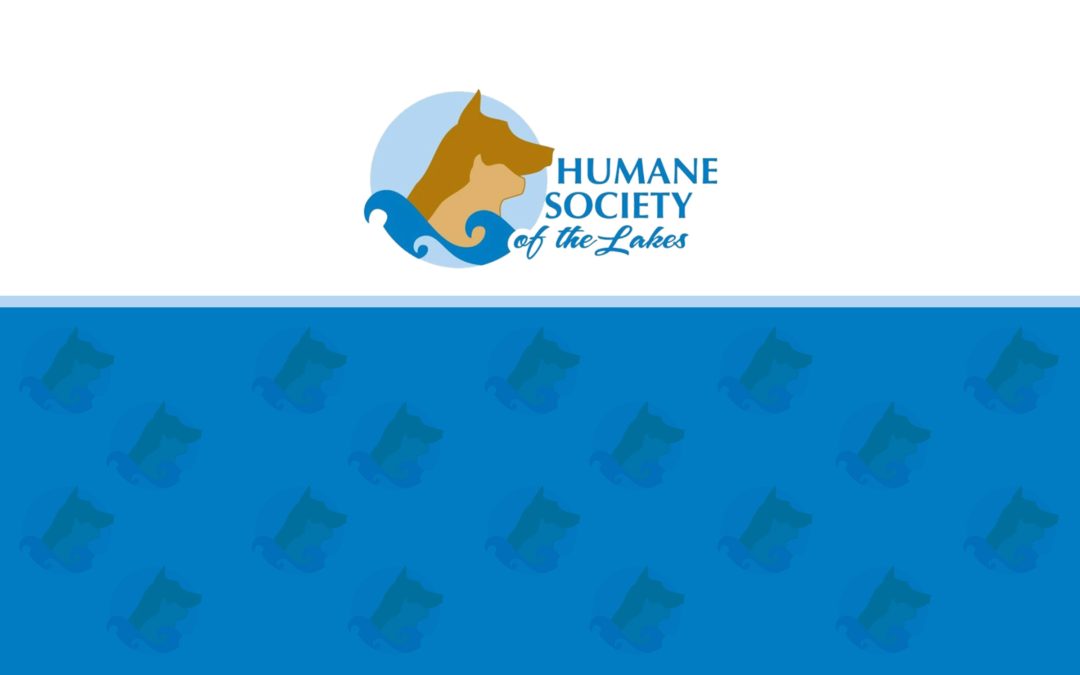 Humane Society Of The Lakes: Where Animals’ Lives Are Transformed