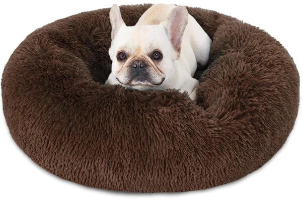 Dog Beds for Medium Dogs