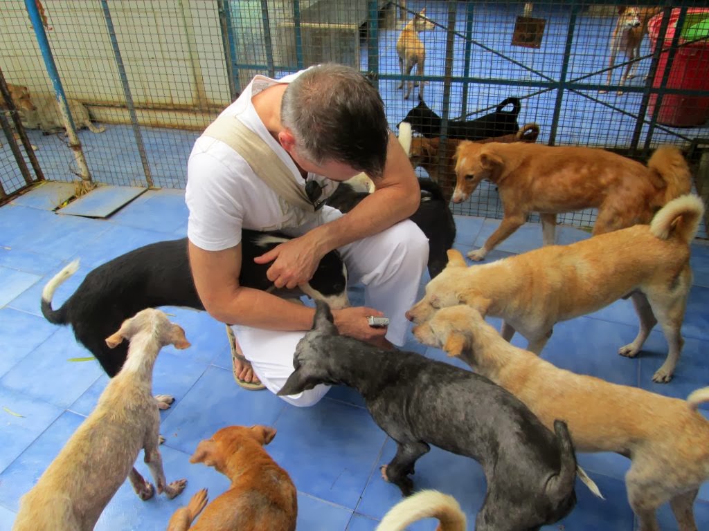 Agoura Animal Shelter