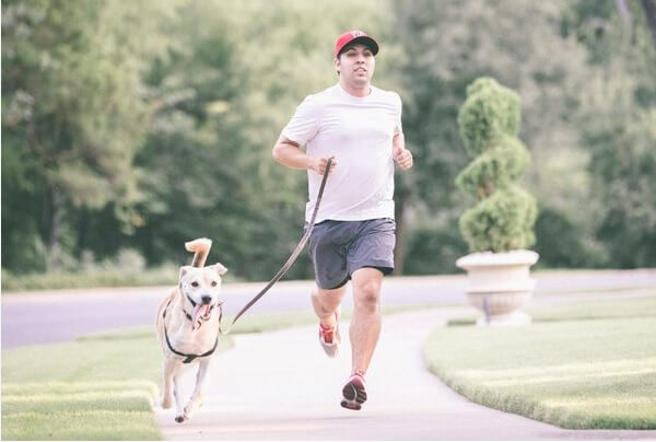 dog runner